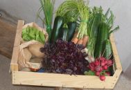panier légumes Le BERGERAT