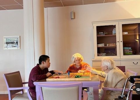 Partie de petits chevaux entre un garçon et deux femmes